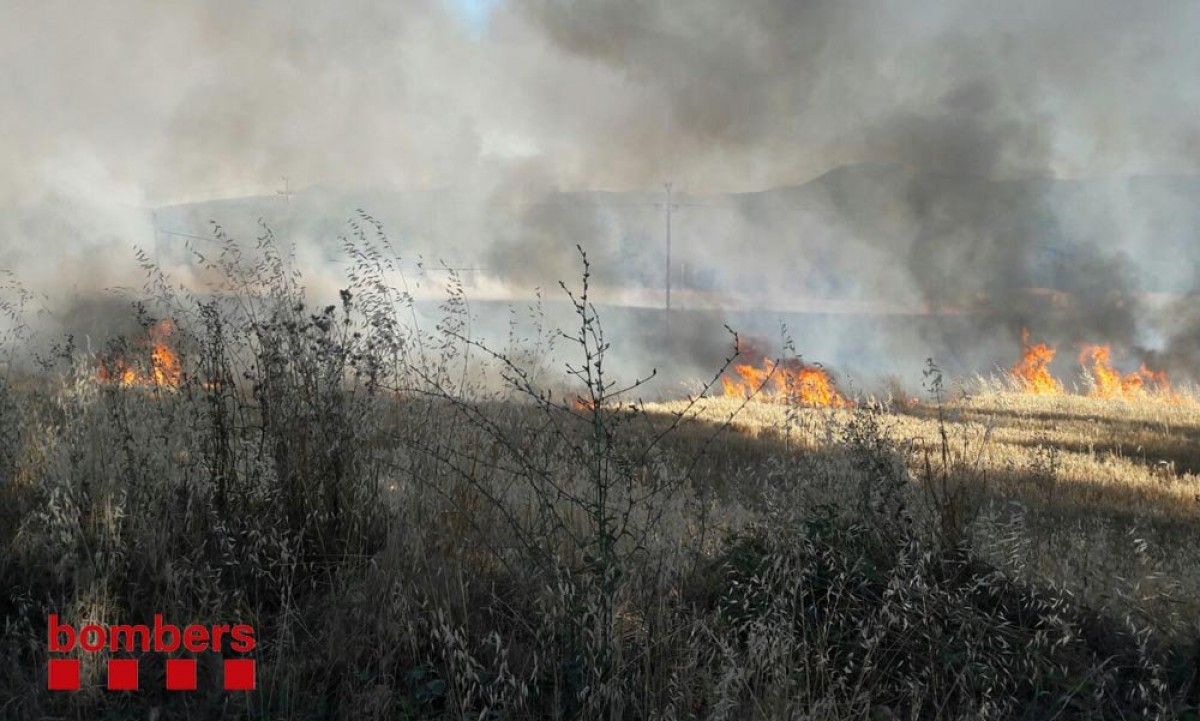 Camp agrícola cremant a Breda