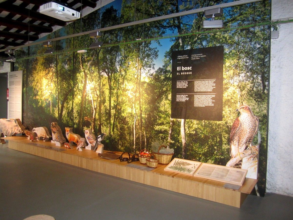Museu del Bosc i la Pagesia de Vallgorguina