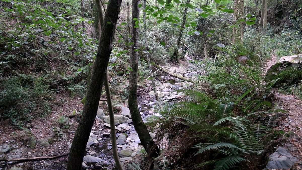 Un torrent amb poca aigua a prop de Mosqueroles