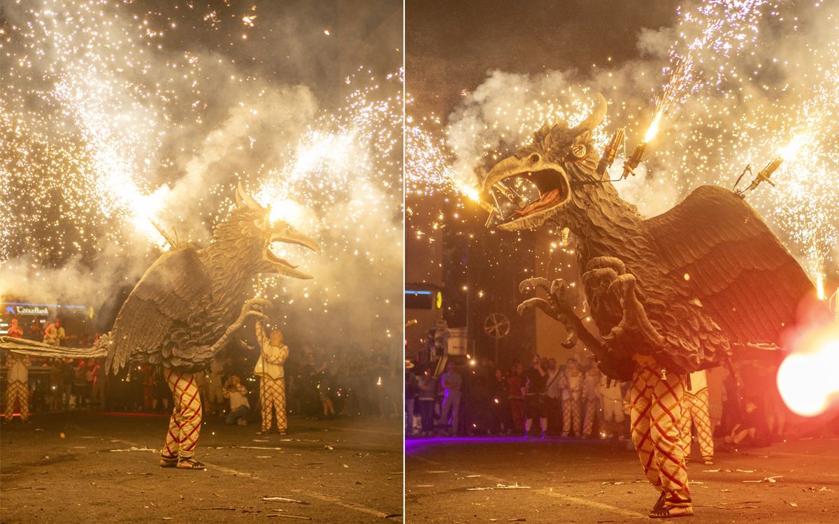 Ball del Corb Borni al 15è Festival d'Enceses de Catalunya.