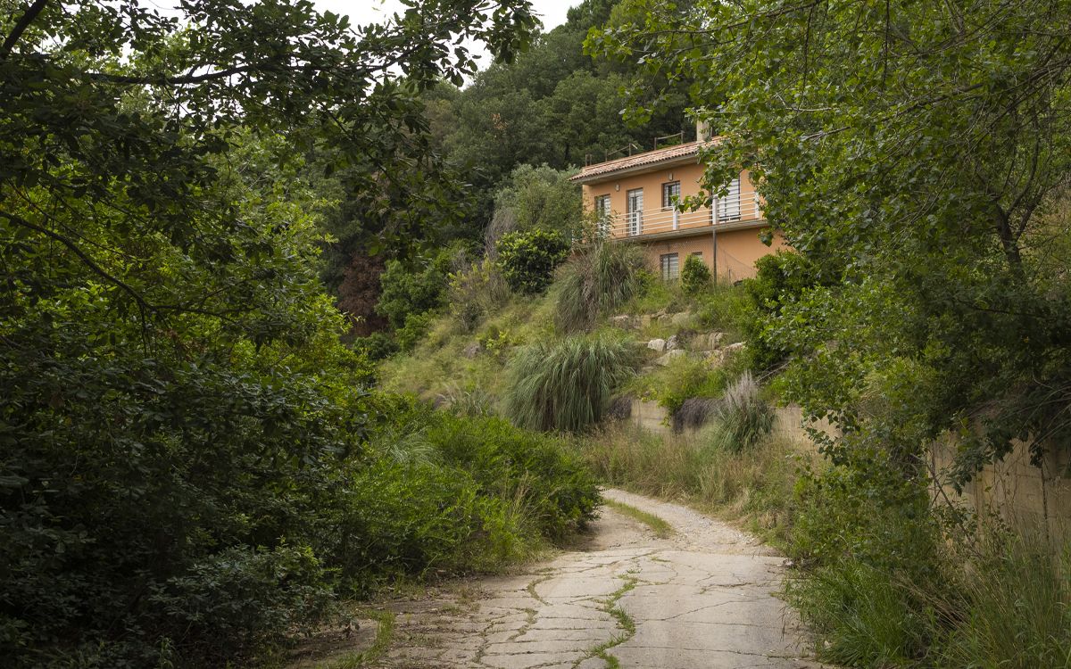 La vegetació es menja un carrer de la urbanització Ca n'Hosta de Riells i Viabrea.