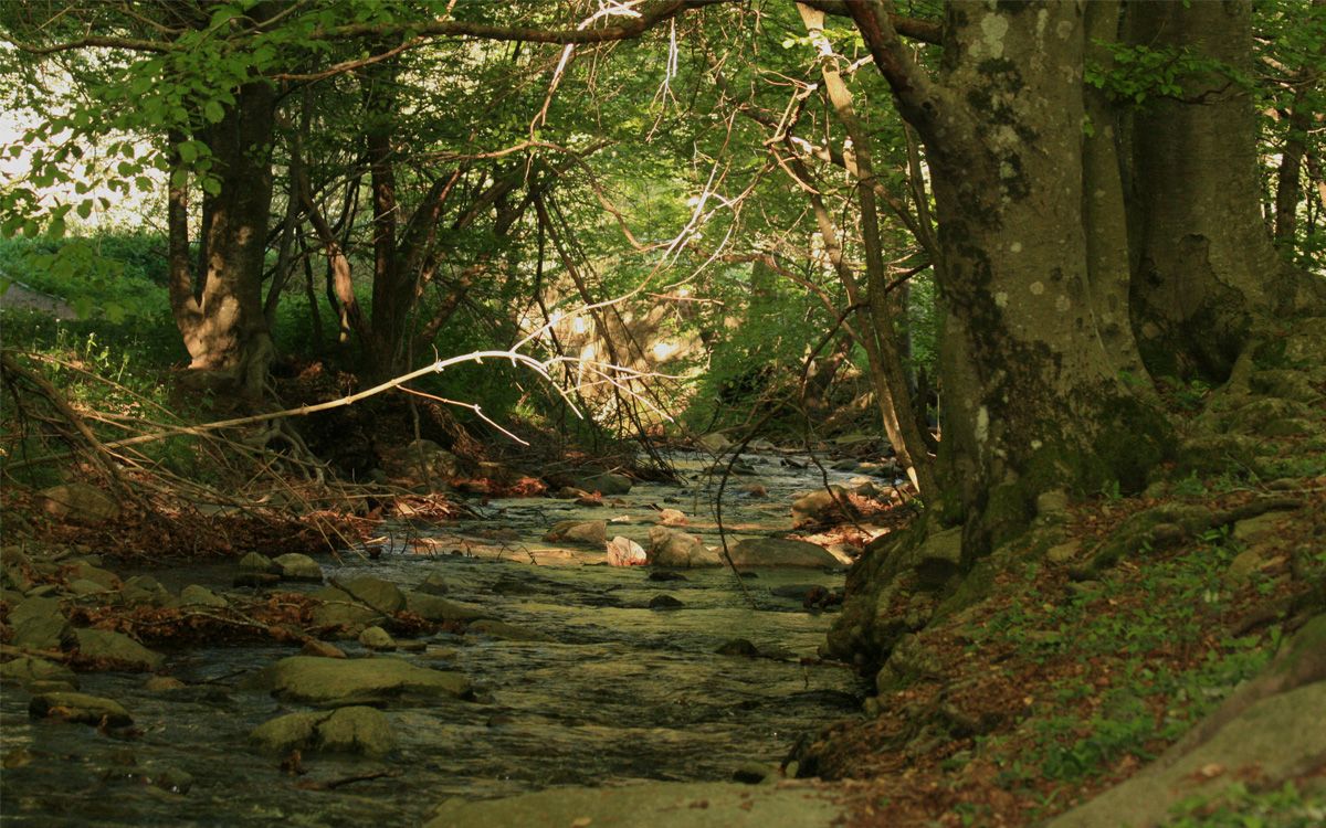 Santa Fe del Montseny, un dels punts del projecte 6 sentits-Camí del Montseny