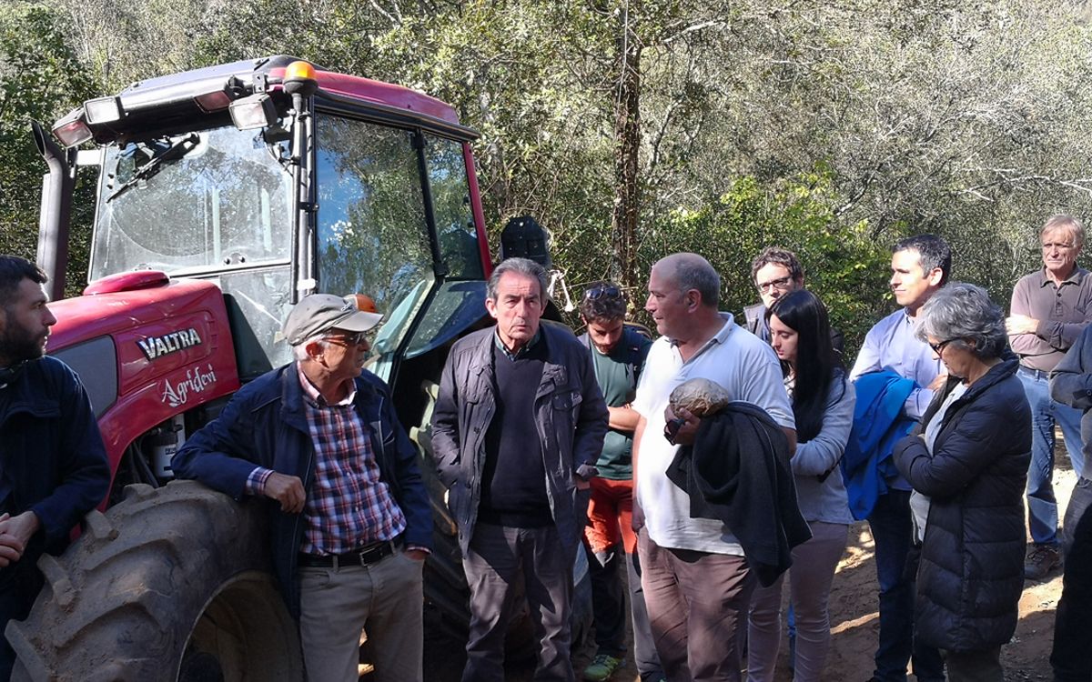 Una de les jornades tècniques celebrades en una edició anterior de la Setmana del Bosc.