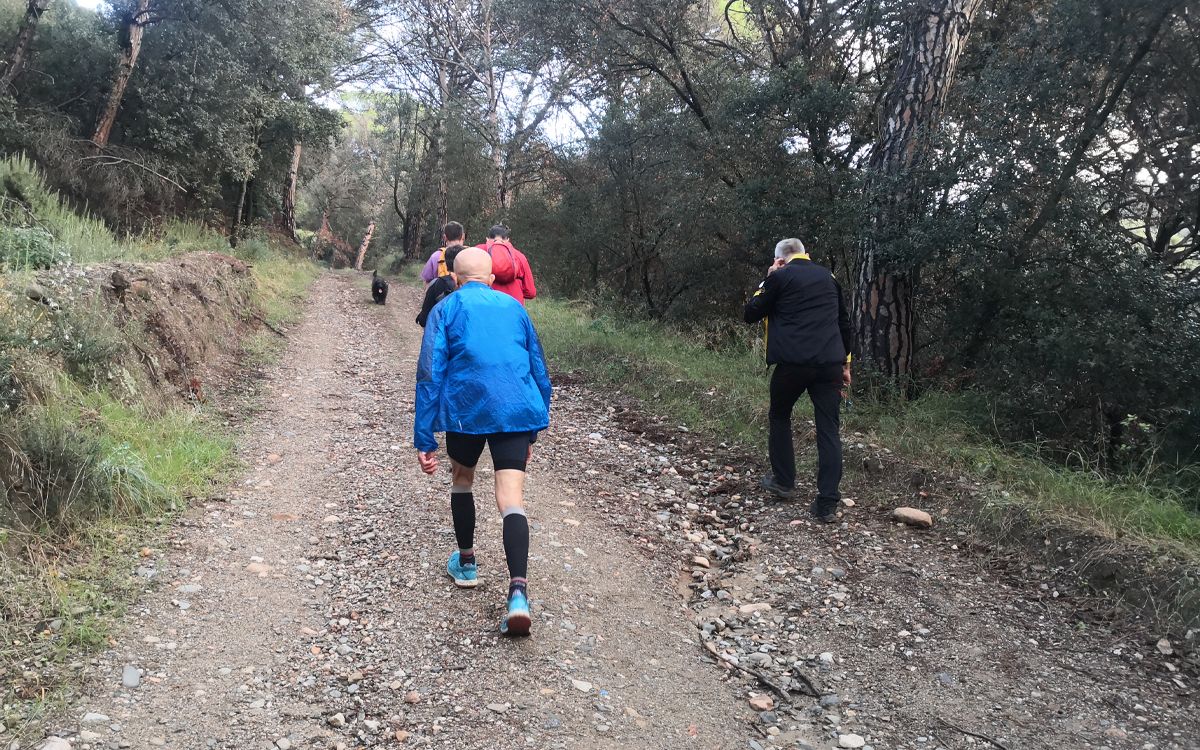 Alguns dels participants a la 46a edició de la Marxa pel Montseny.