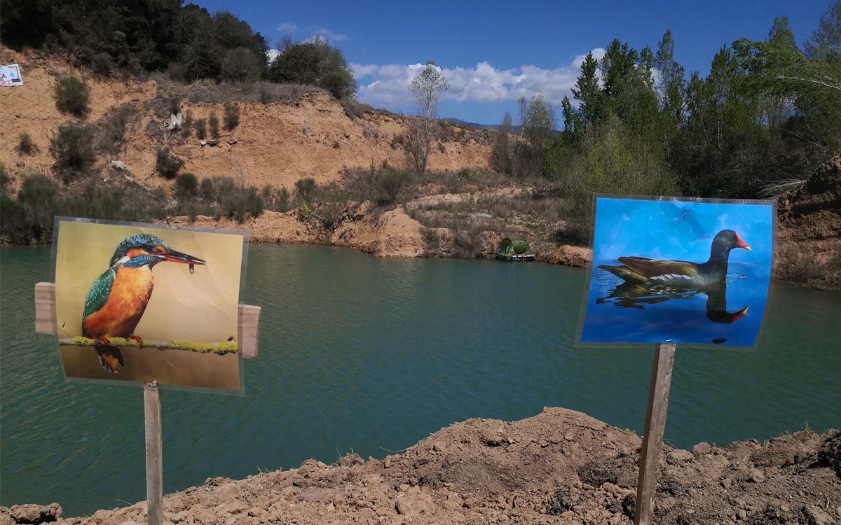 La bassa de Can Tàpies de Llinars del Vallès.