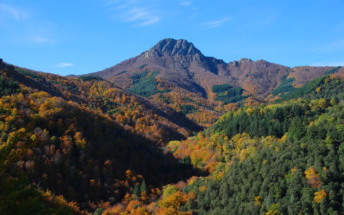 Les Agudes forma part del Parc Natural del Montseny i Reserva de la Biosfera.