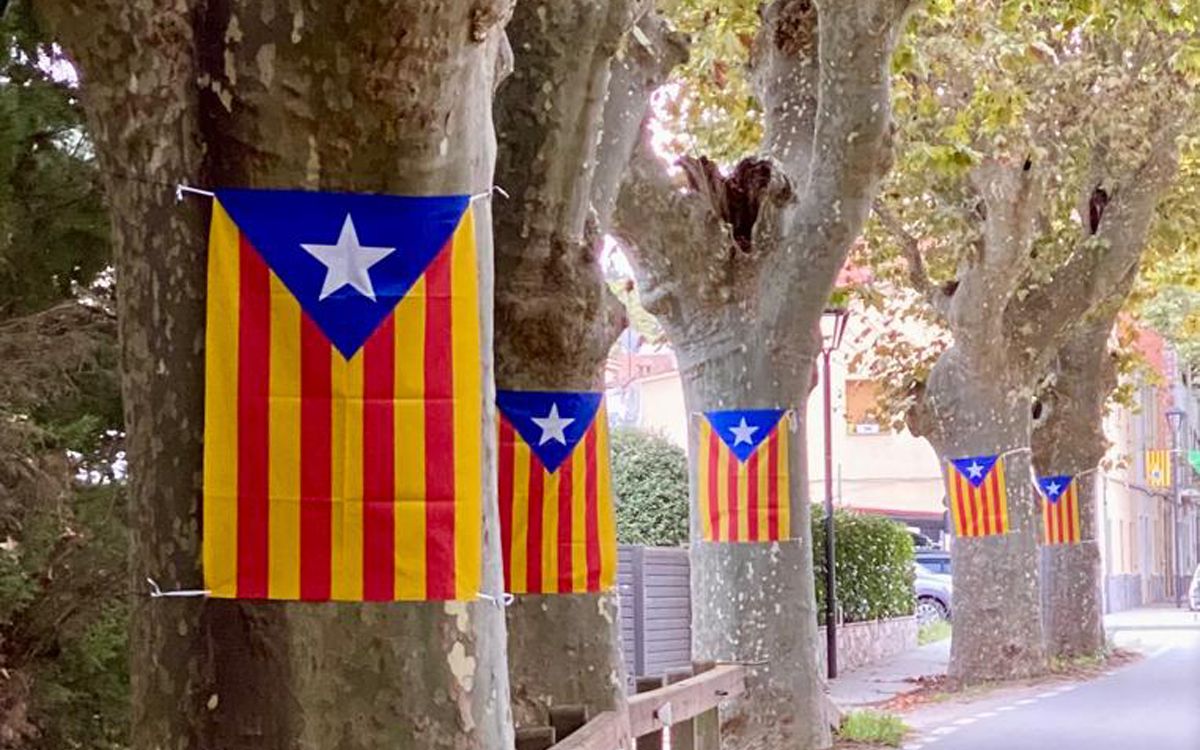 Estelades a la Carretera Nova de Vallgorguina