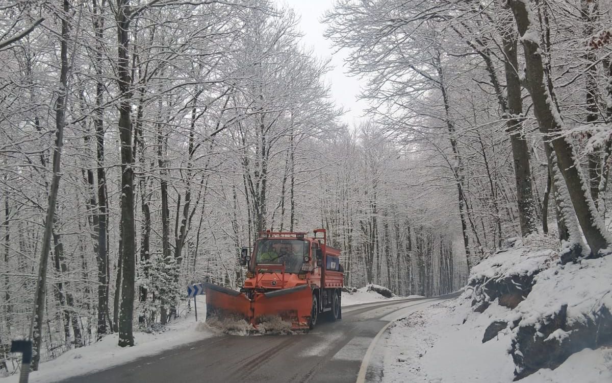 Una màquina llevaneu al Parc Natural del Montseny.