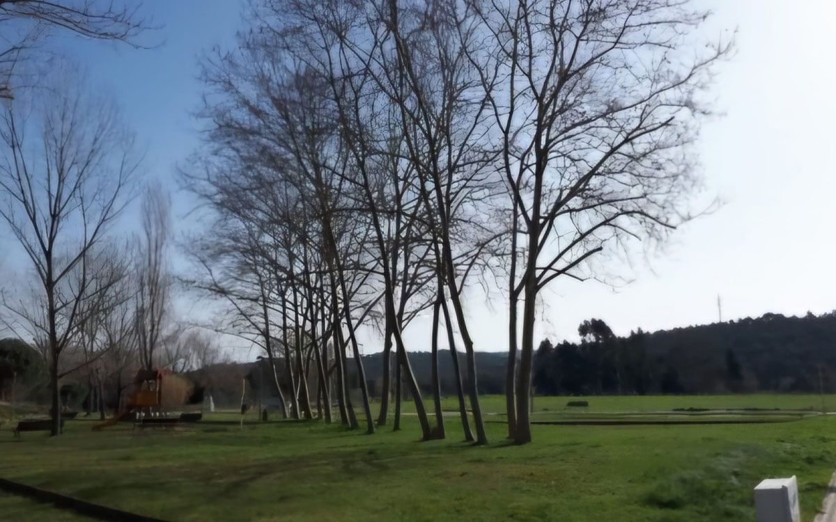 Camí Ral de la Batllòria.