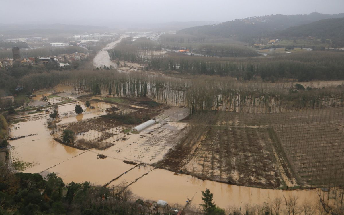 Camps i boscos negats pels efectes del temporal Gloria a Hostalric.