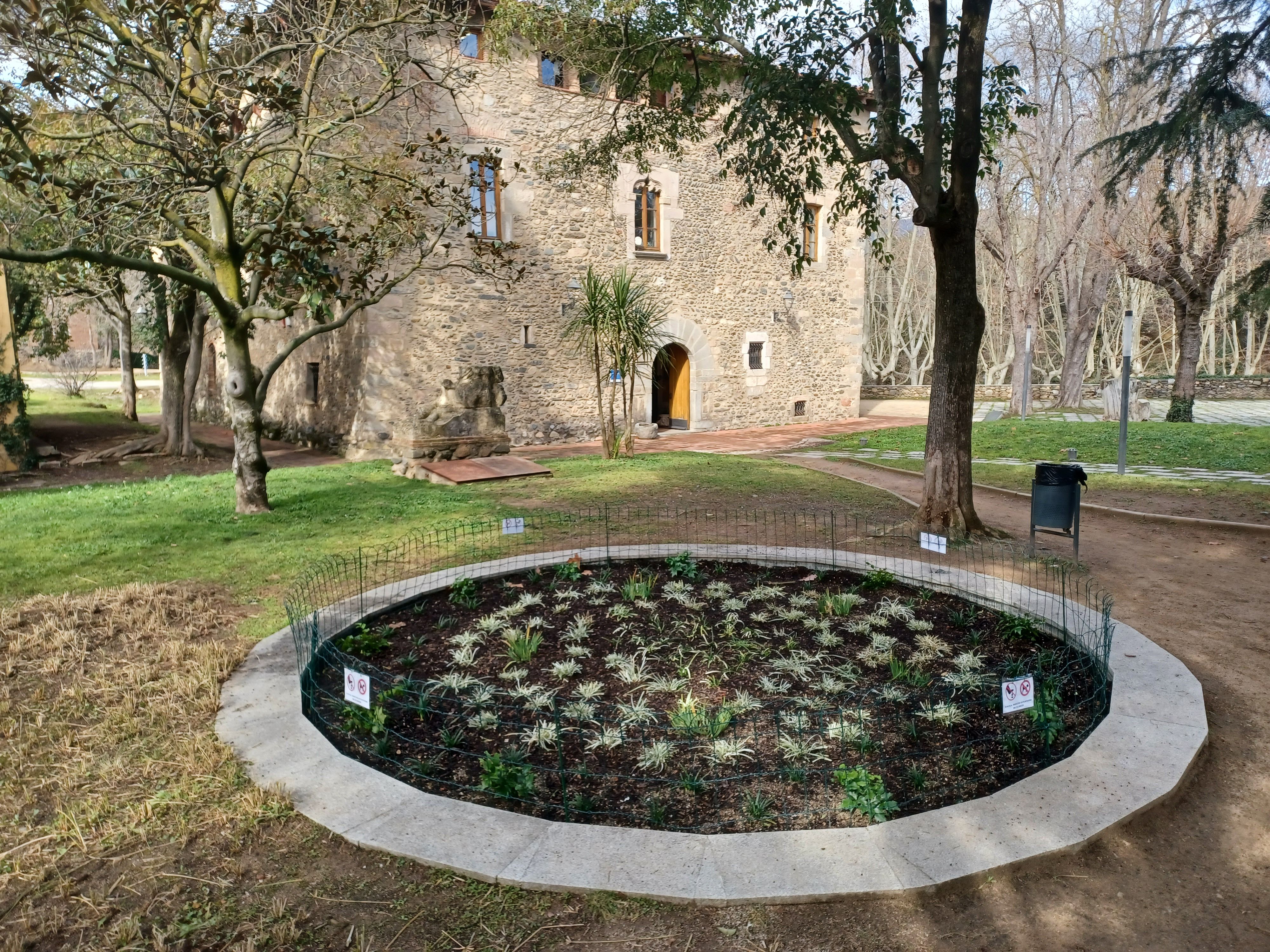 Antiga bassa de la Rectoria Vella plena de flors autòctones.