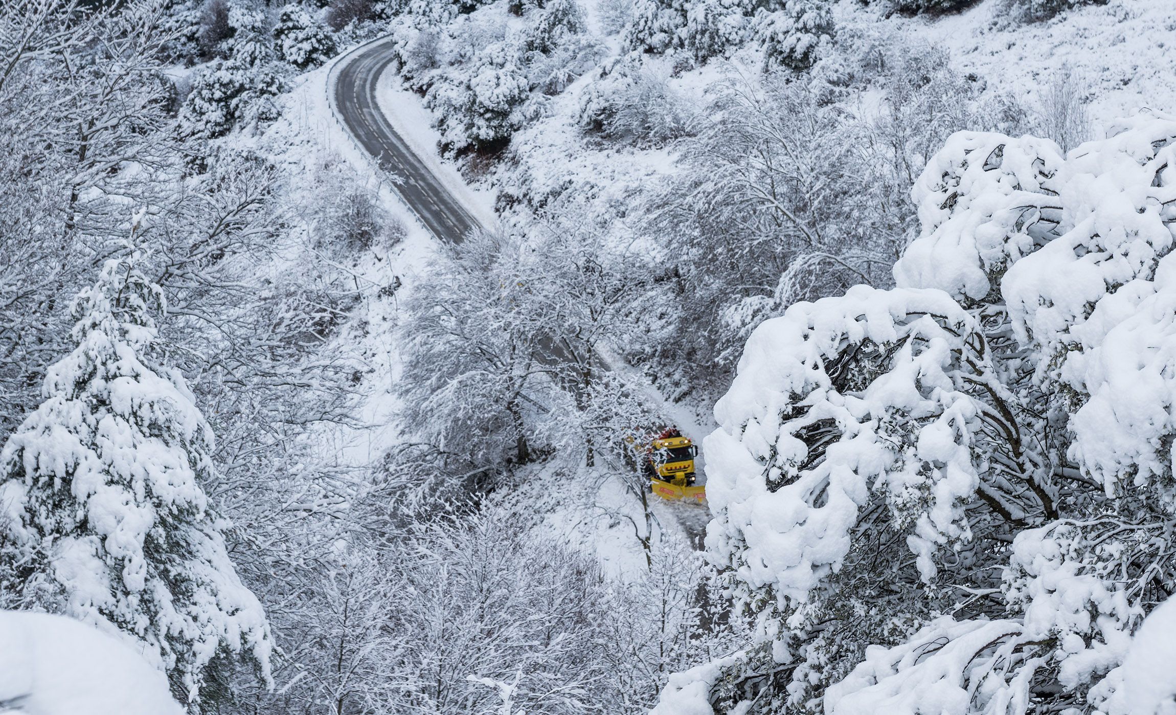 Nevada a Collformic, al Montseny. - Emili Vilamala