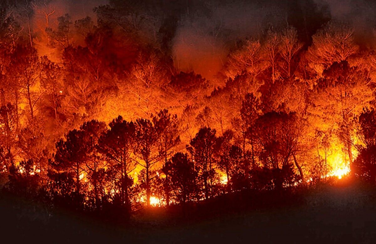 Imatge d'un incendi forestal a Catalunya.