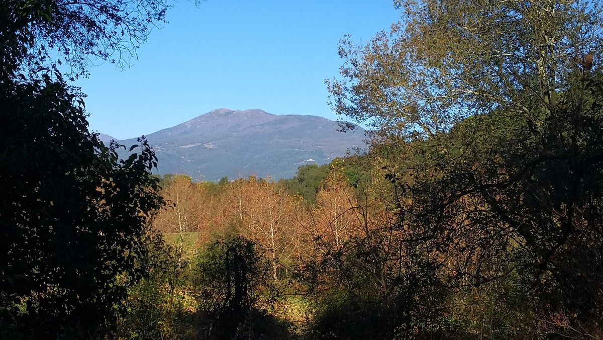 El Montseny vist des de la Vall d'Olzinelles, al Parc del Montnegre i el Corredor