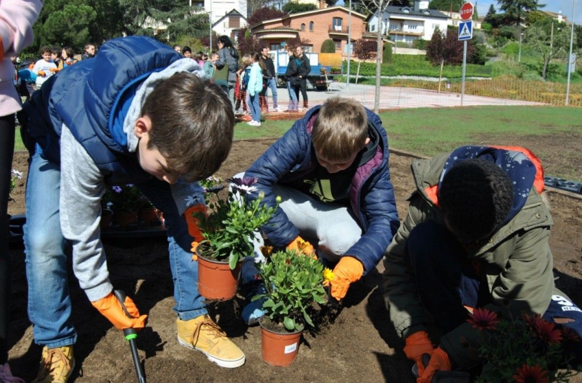 Alumnes de Llinars del Vallès plantant flors