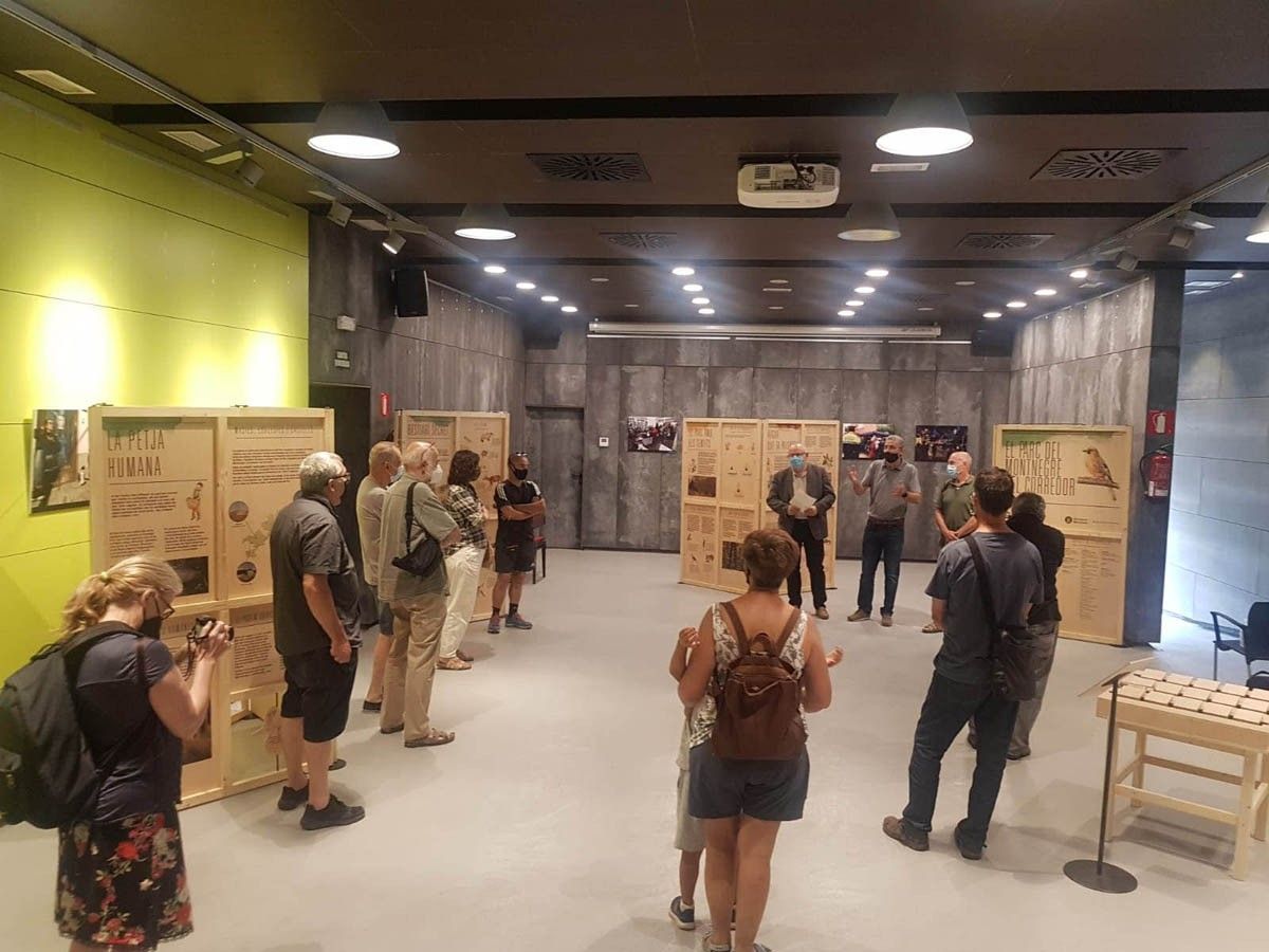 L'exposició Parc del Montnegre i el Corredor inclou dotze plafons de fusta i interactius