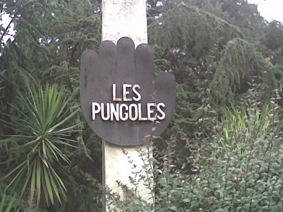 Les Pungoles, situada entre Sant Pere i Sant Antoni de Vilamajor, podria estar recepcionada d'aquí a un any