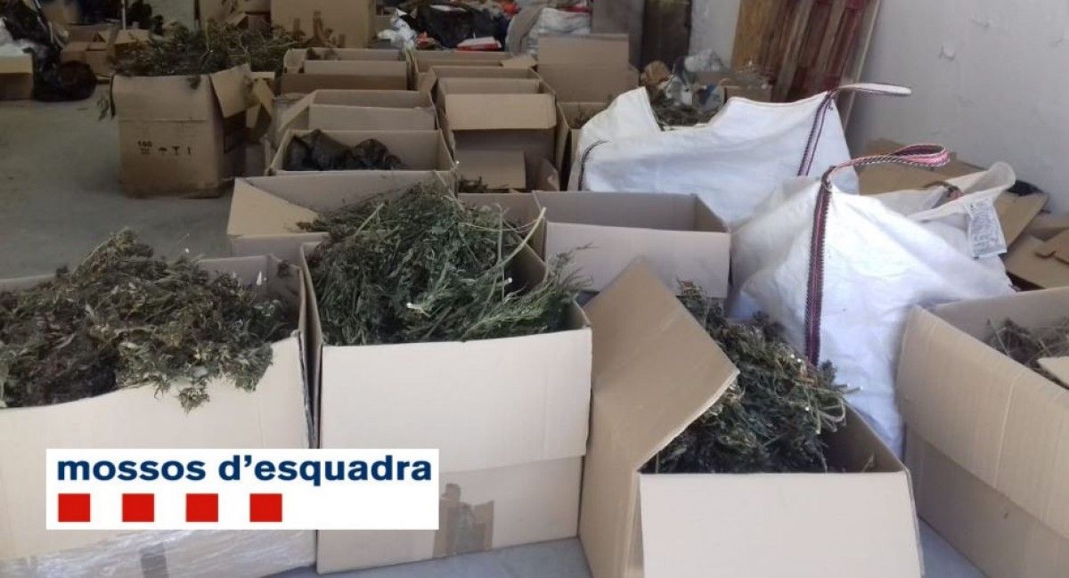 Caixes amb la droga decomissada pels Mossos d'Esquadra en una nau Sant Celoni