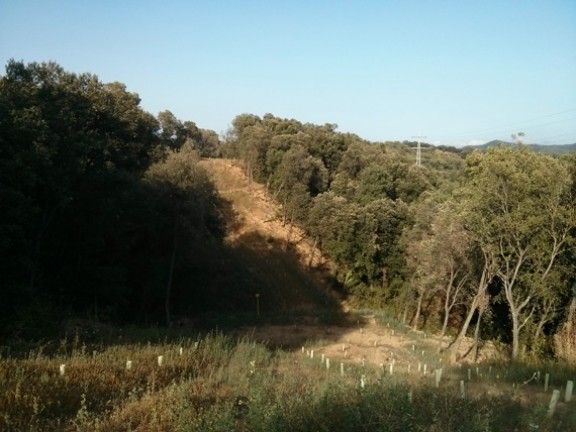 Zona afectada en un punt entre Sant Celoni i Campins