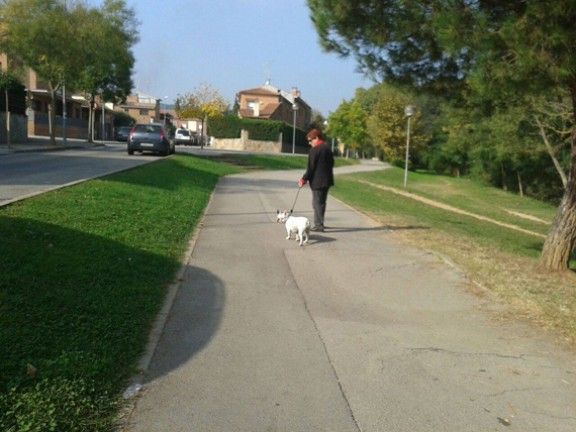 Una senyora passeja el seu gos pel Passeig del Pertegàs a Sant Celoni
