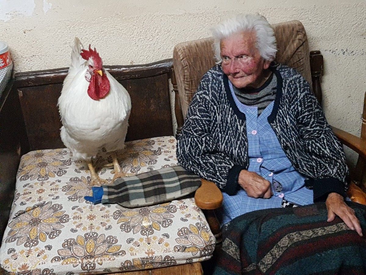 Lola, 104 anys humanoteca del Montseny