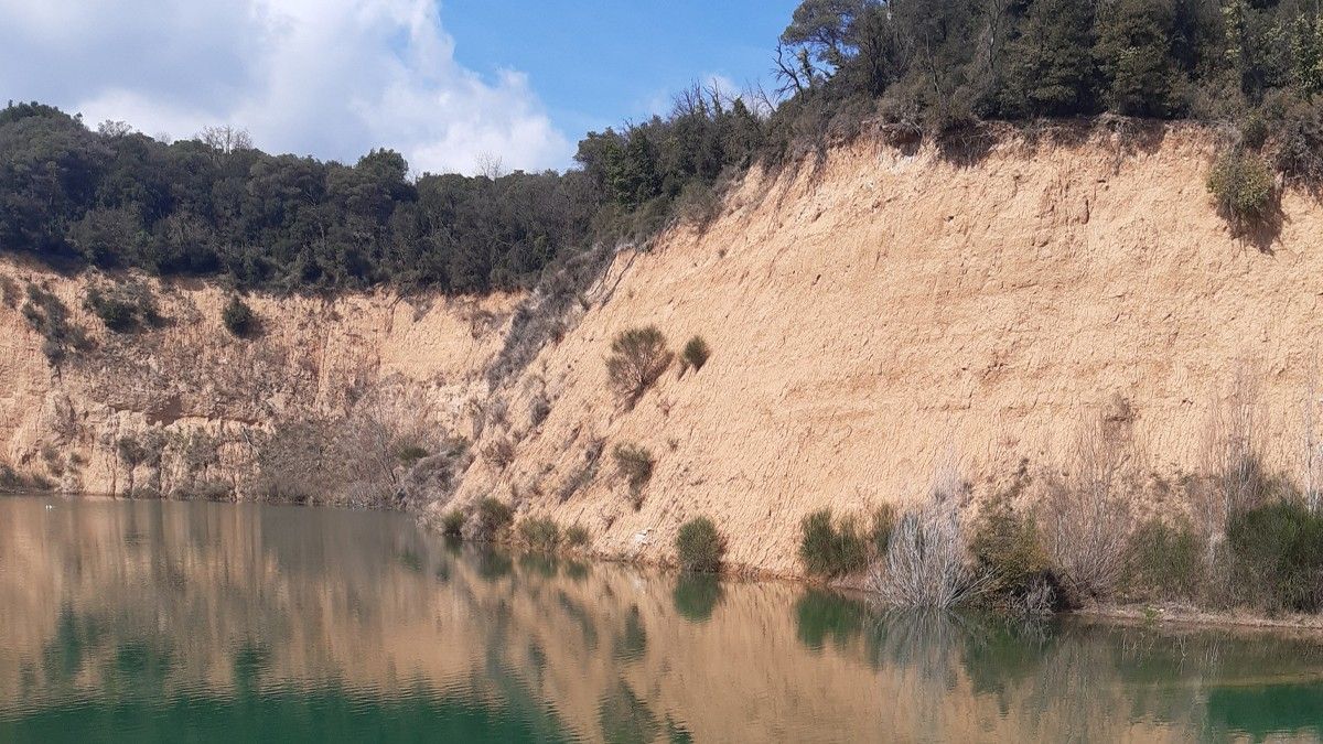 La bassa de la Bòvila de Llinars del Vallès
