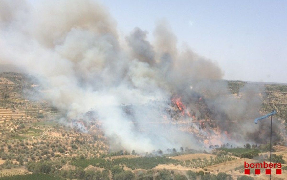 Imatge de l'incendi forestal entre Vinebre i la Torre de l'Espanyol.