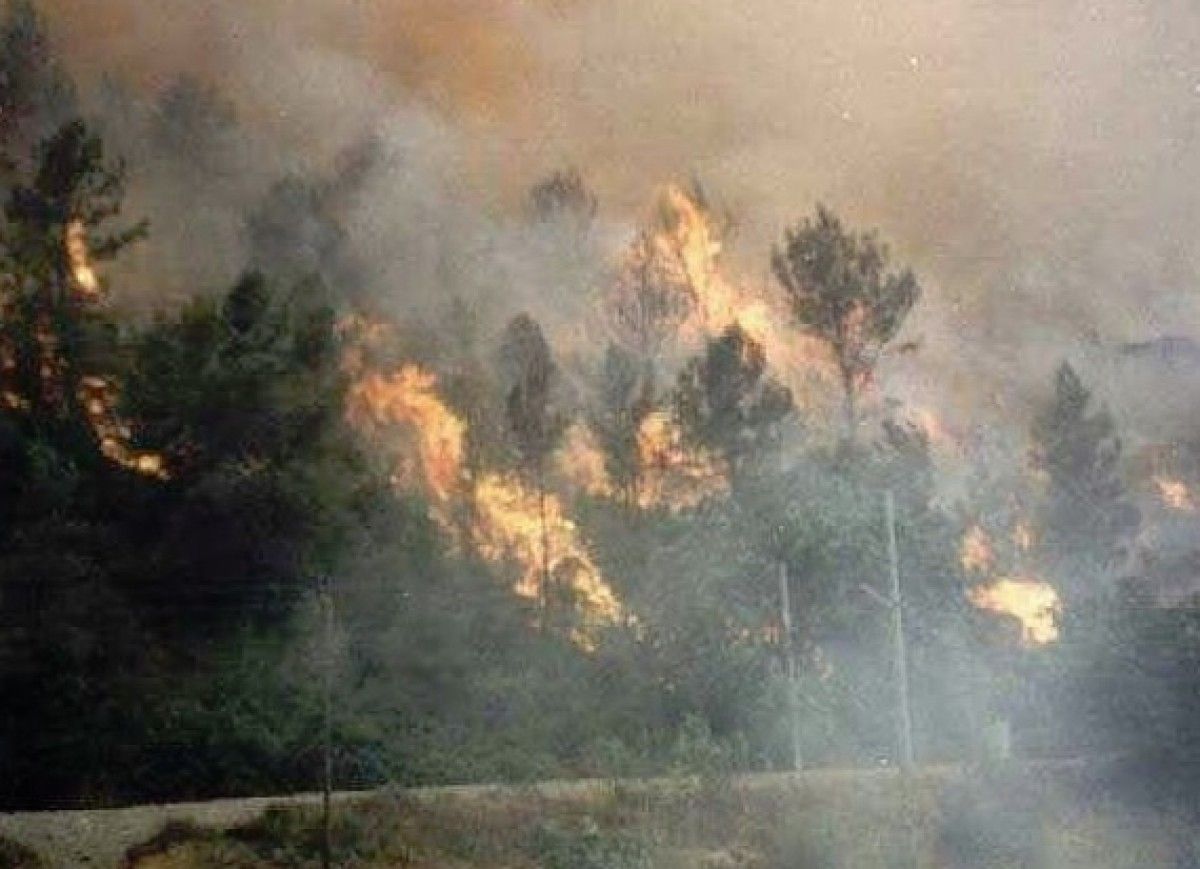 L'incendi de 1994, a Figaró