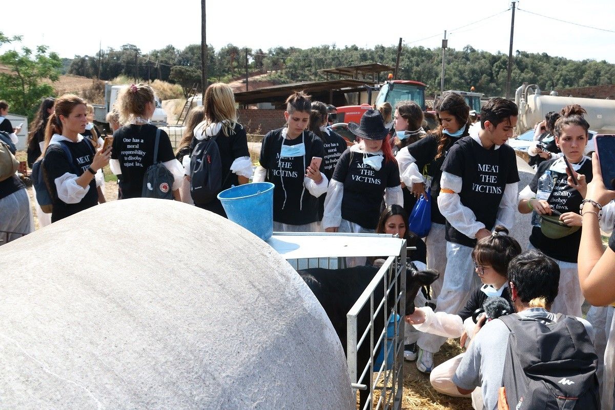 Activistes de Meat The Victims a la granja de Sant Antoni de Vilamajor