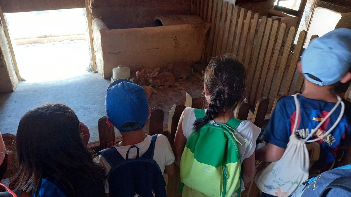 Infants que han gaudit de les colònies al Castell de Fluvià de Sant Esteve de Palautordera