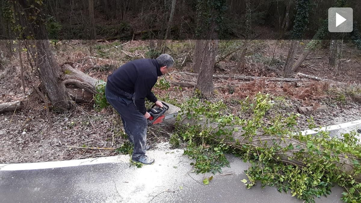 L'alcalde Joan Mora tallant un dels arbres caiguts a Vallgorguina pels efectes del vent