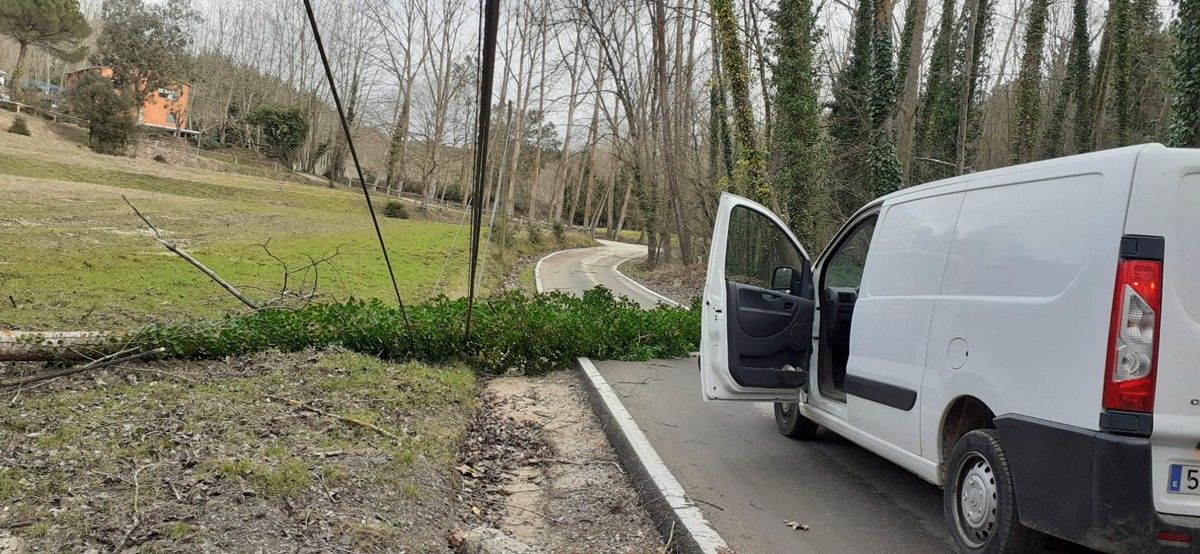 Un arbre caigut a Vallgorguina impedeix la circulació d'un camí