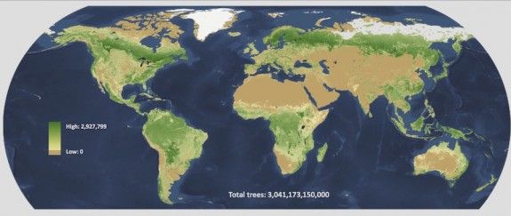 Mapa global de la densitat d'arbres.