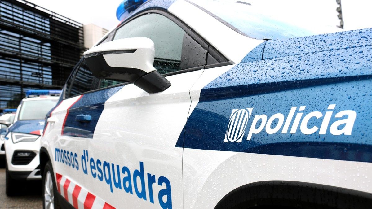 Un home de 32 anys va ser detingut pels Mossos d’Esquadra de la comissaria de Sant Celoni.