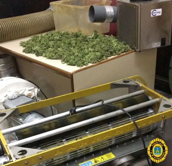 Part de la maquinària i fulles de marihuana requisada per la Policia Local de Santa Maria de Palautordera