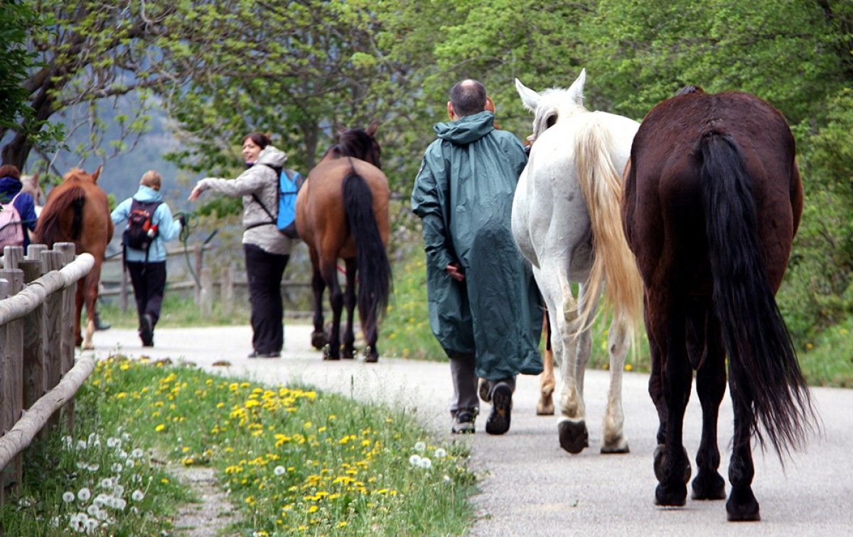 Diversos participants i cavalls en la transhumància organitzada per la Fundació Miranda.
