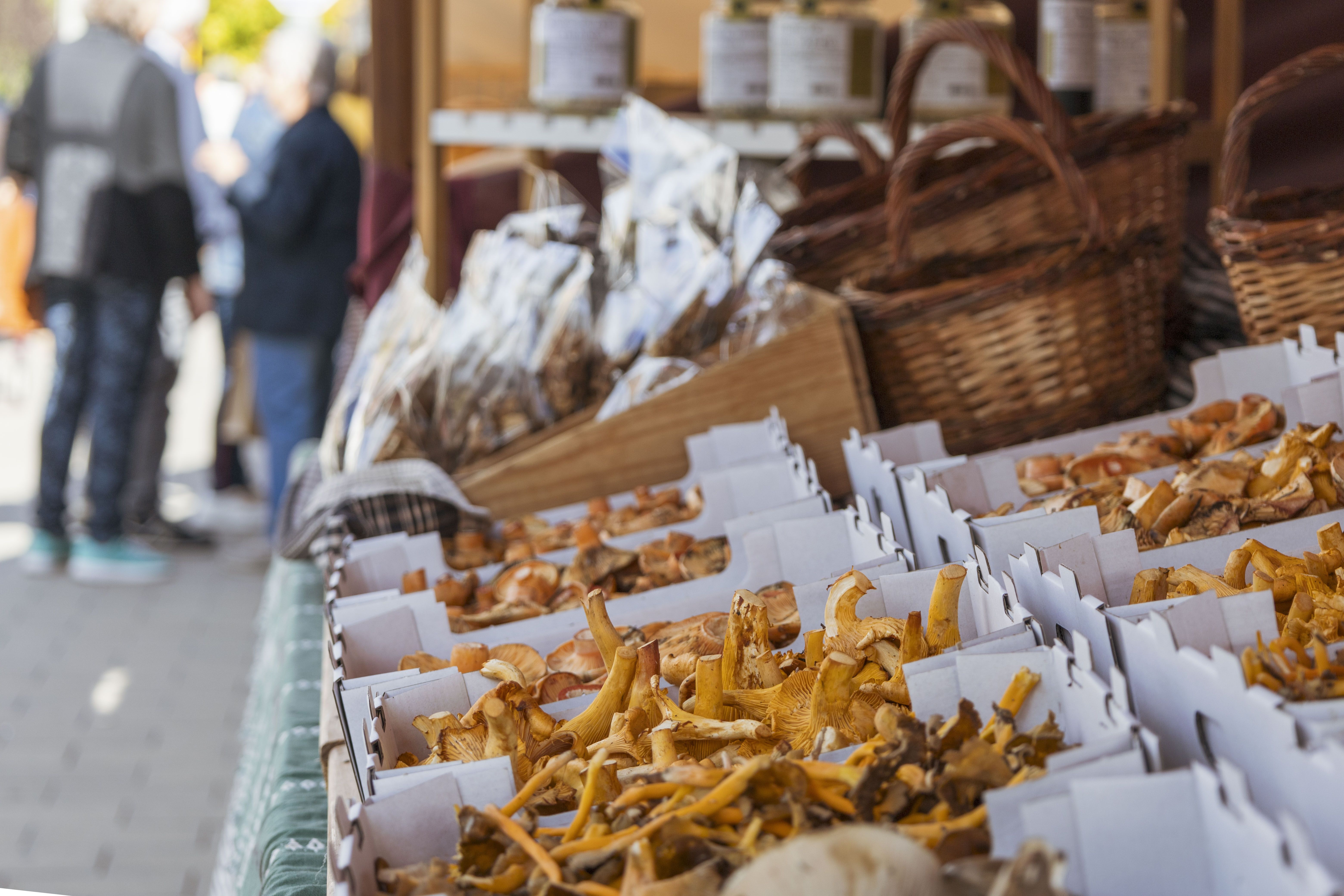 El Mercat del Bolet de Cal Rosal obrirà portes el 9 de setembre