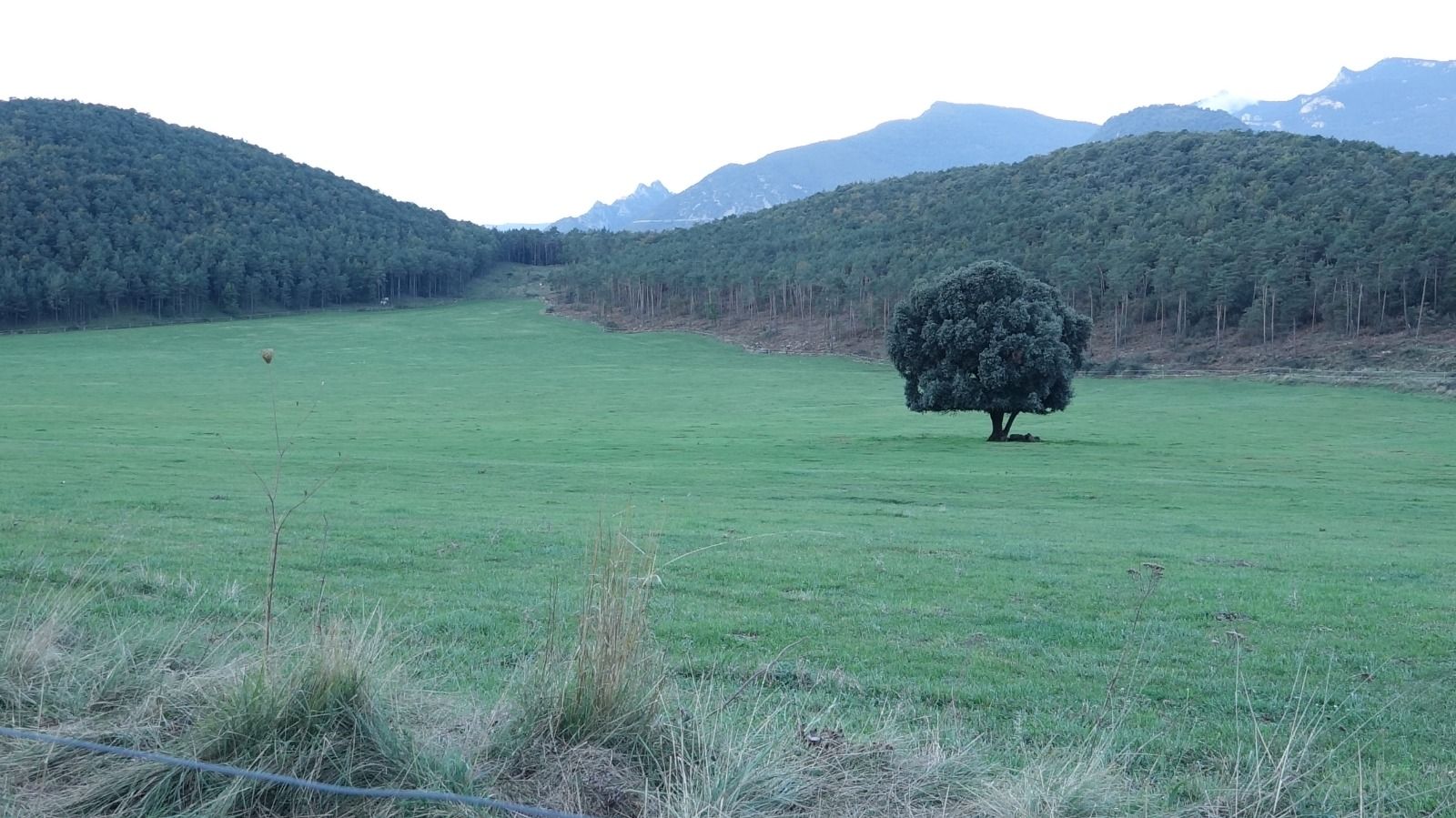 El projecte contempla la construcció d'una bassa al Pla de Clarà de la Nou