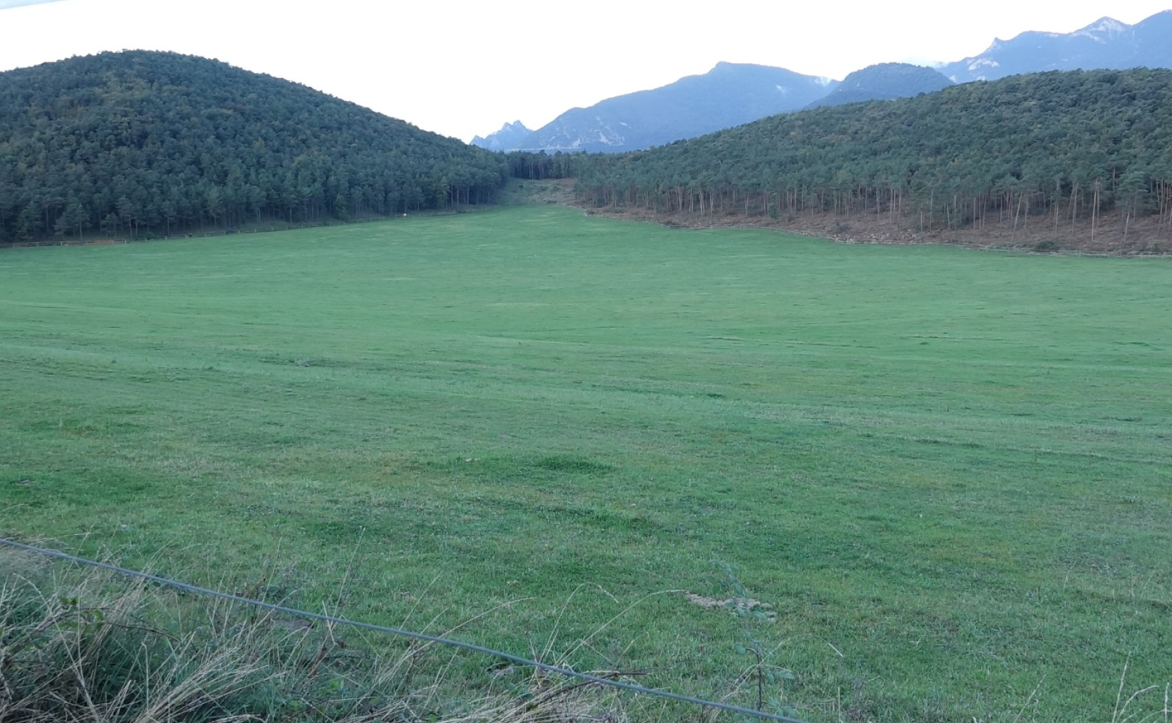 El Pla de Clarà, al municipi de la Nou de Berguedà, acolliria la bassa de la central