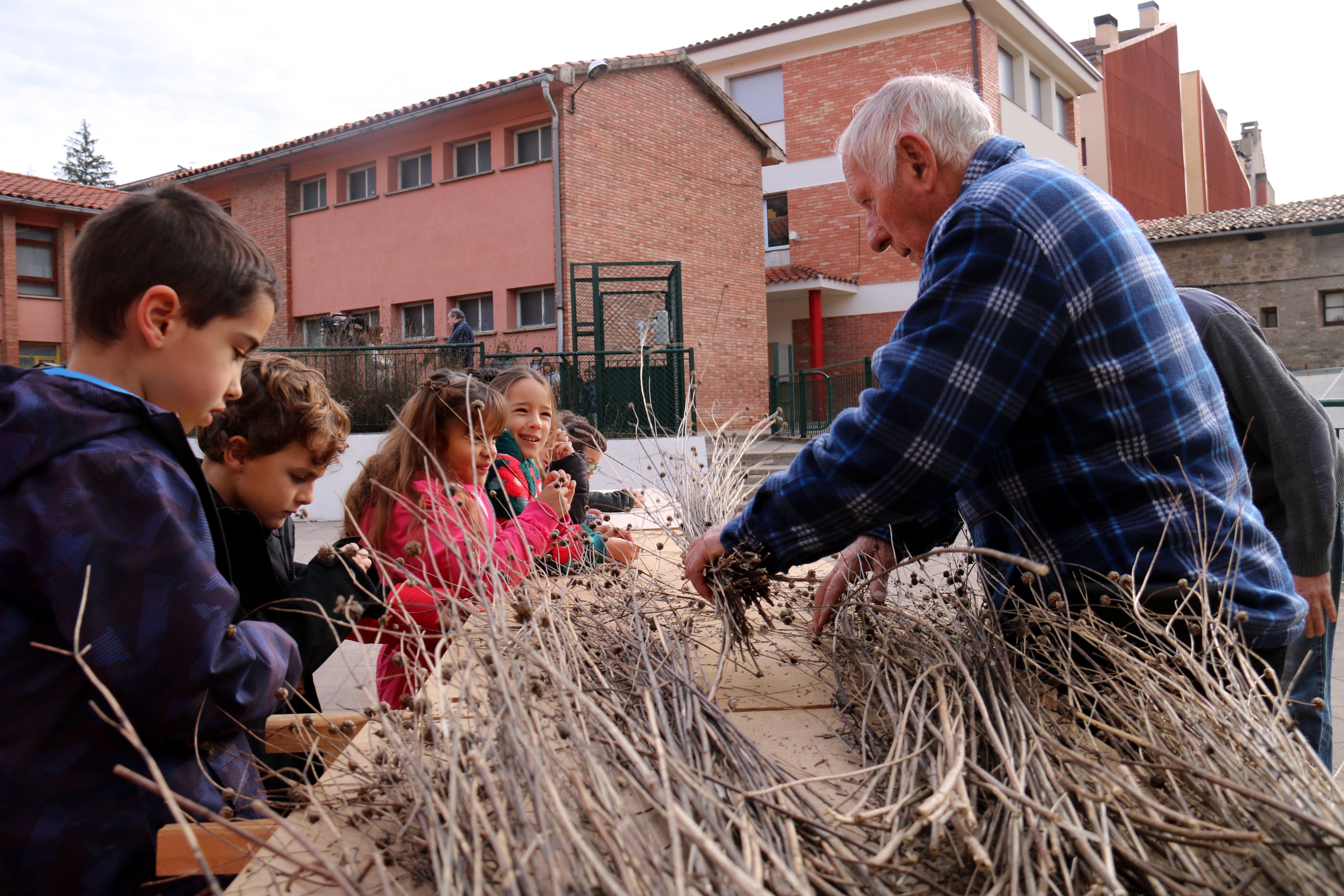 Llorenç Pedrals prepara una faia sota l'atenta mirada d'uns alumnes de l'Escola Galceran de Pinós