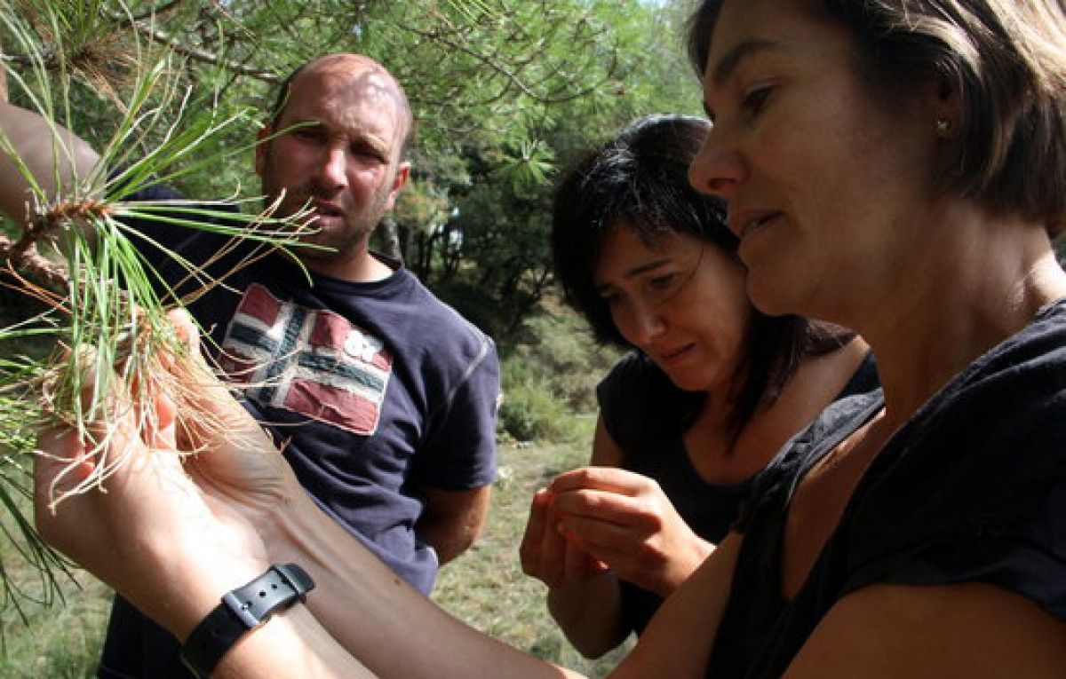 El regidor de Medi Ambient de l'Espunyola i tècniques de l'Associació Berguedà Verd observen les erugues dels arbres