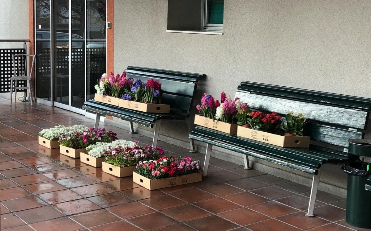 Donació de plantes a la Residència Sant Bernabé.