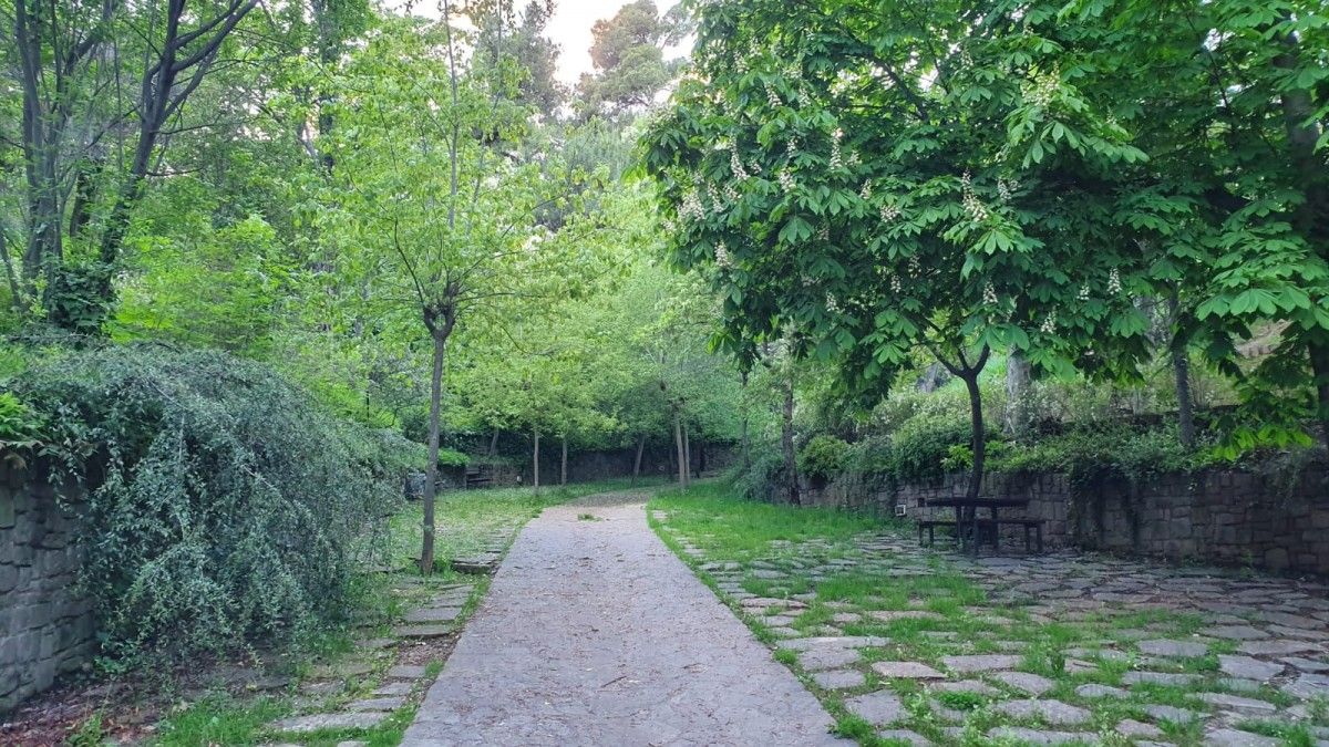 Parc del Lledó de Berga (arxiu).