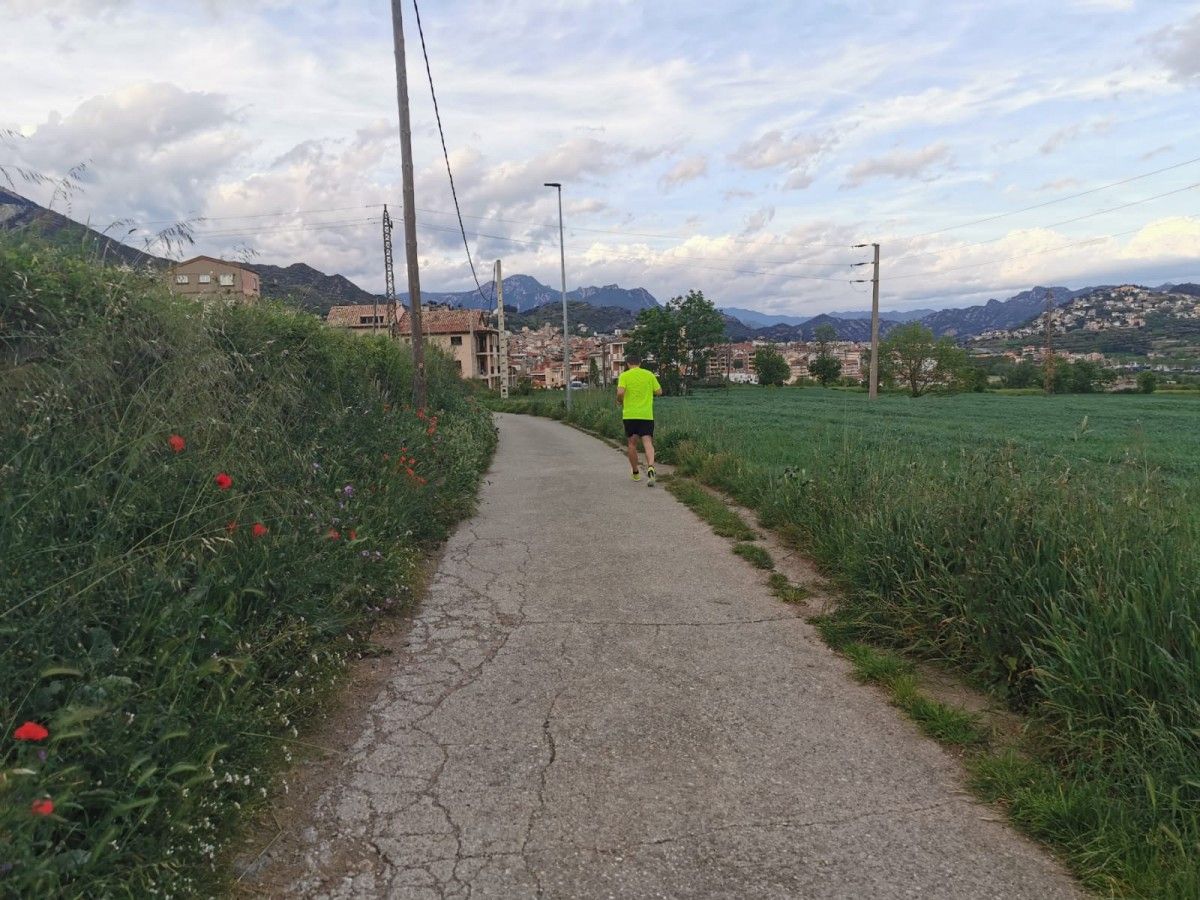 Un corredor al camí de Sant Bartomeu de la Valldan.