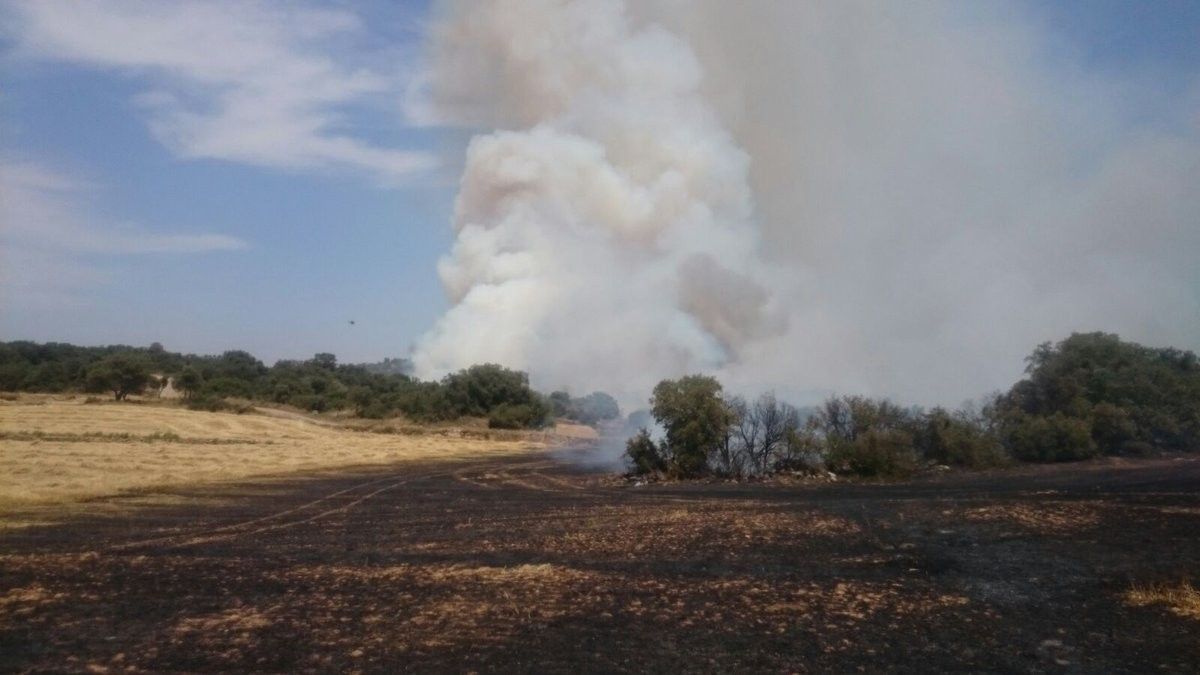 Incendi forestal a Agramunt, aquest dissabte