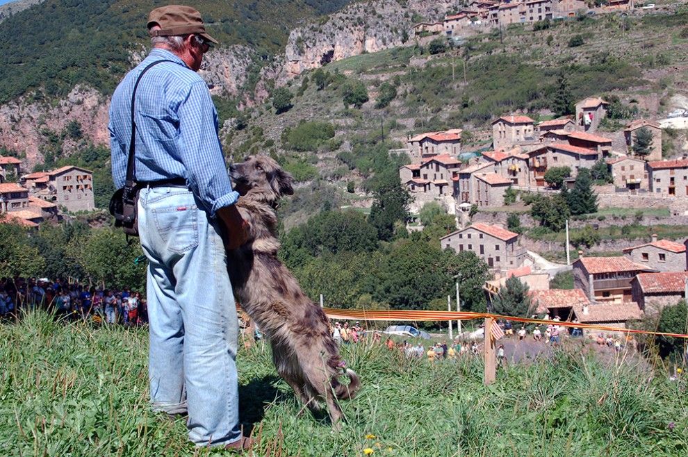 Un dels pastors amb el seu gos (arxiu).