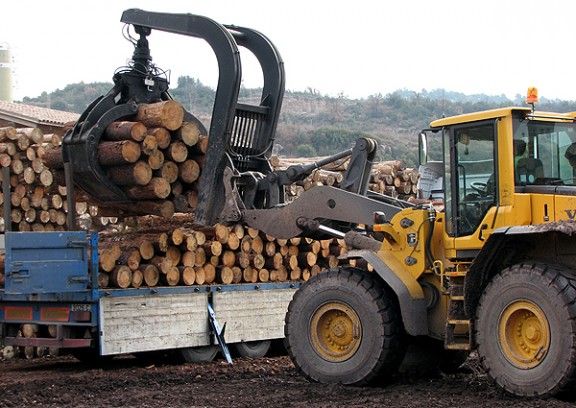 Una màquina carrega troncs de fusta a Serradora Boix.