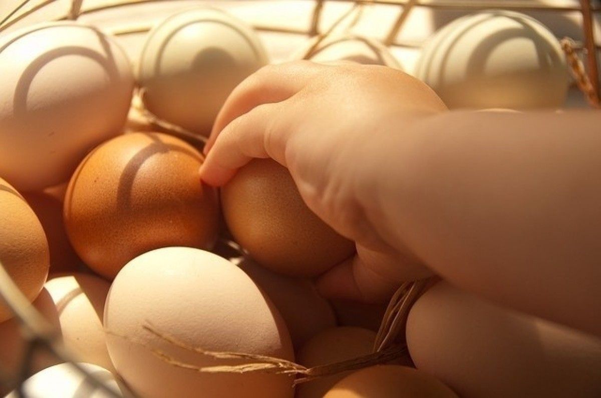 Imatge d'una cistella d'ous