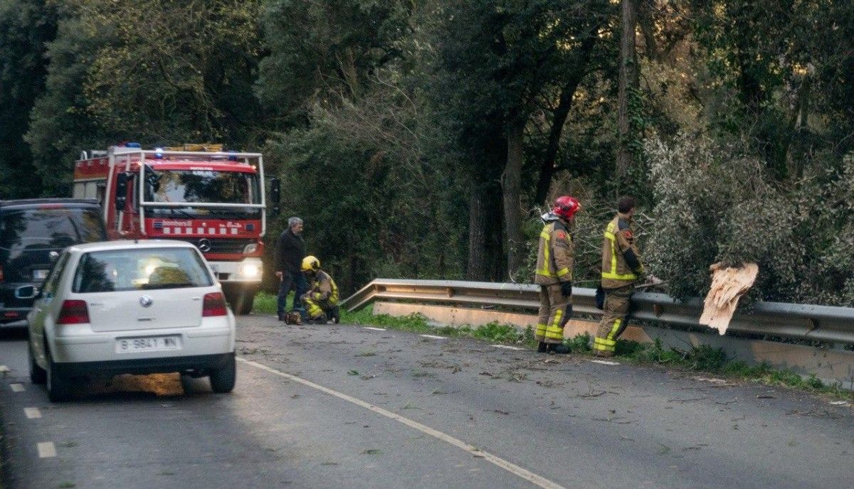 Bombers actuant per retirar arbres d'una carretera catalana.