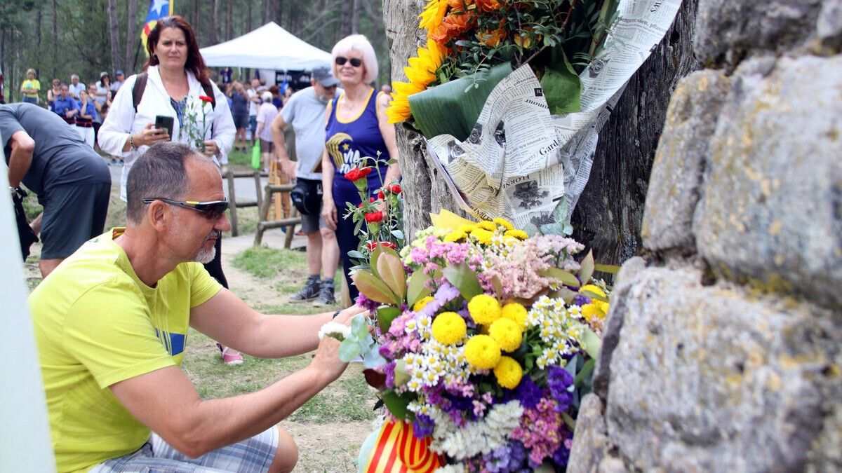 Un home deixa una flor als peus del Pi de les Tres Branques en un dels moments centrals de l'Aplec